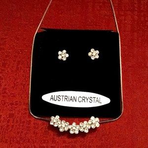 Beautiful necklace and earrings set.